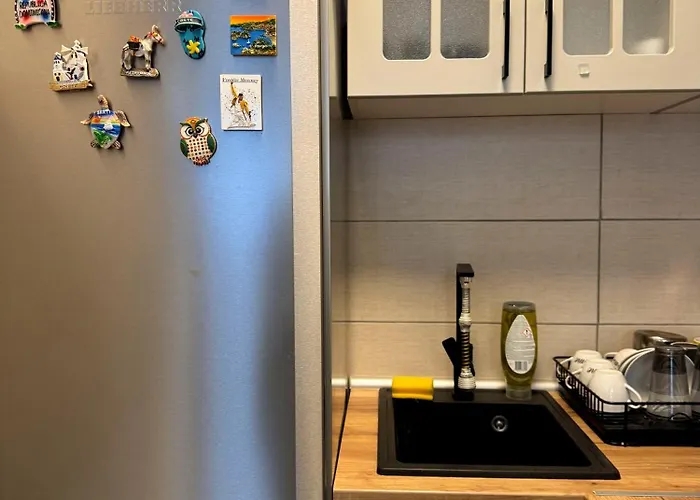 Royal 42 Apartment Vrnjci